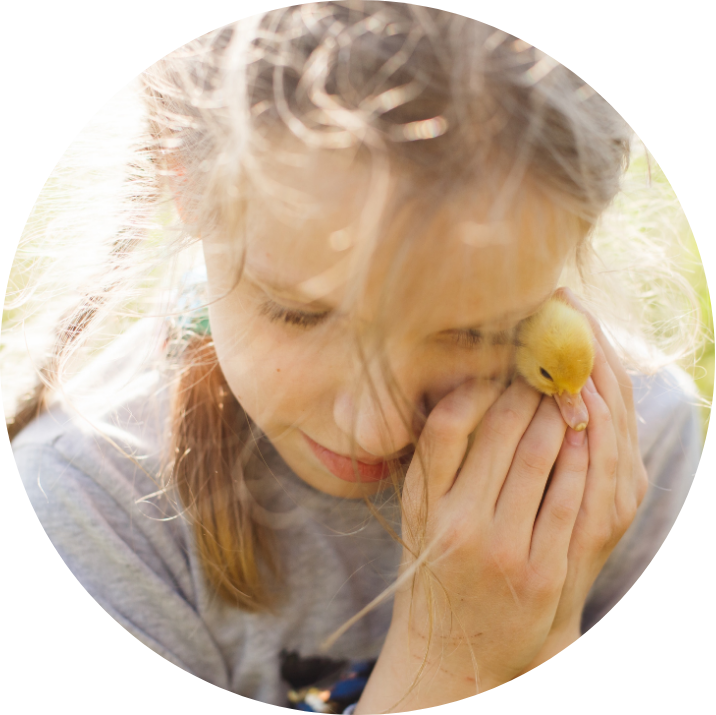 Innova counsellors can provide support to children with Autism.